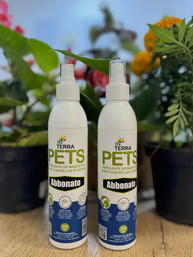 In Terra Pets