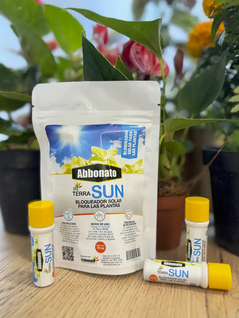In Terra Sun