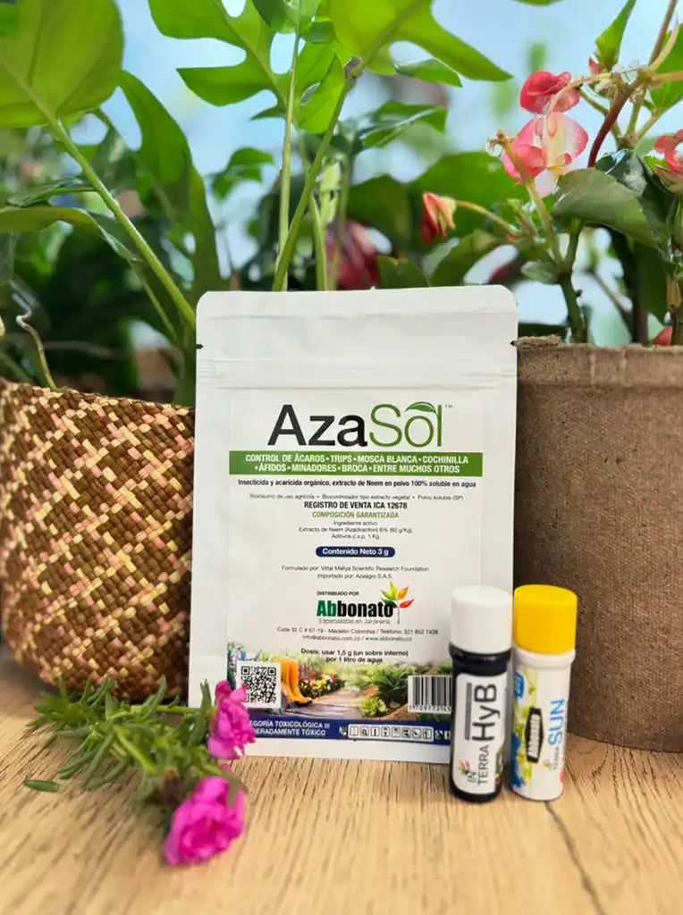 Kit Protección