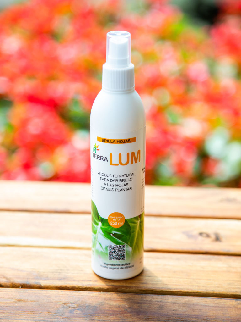 In Terra LUM x 250 ml