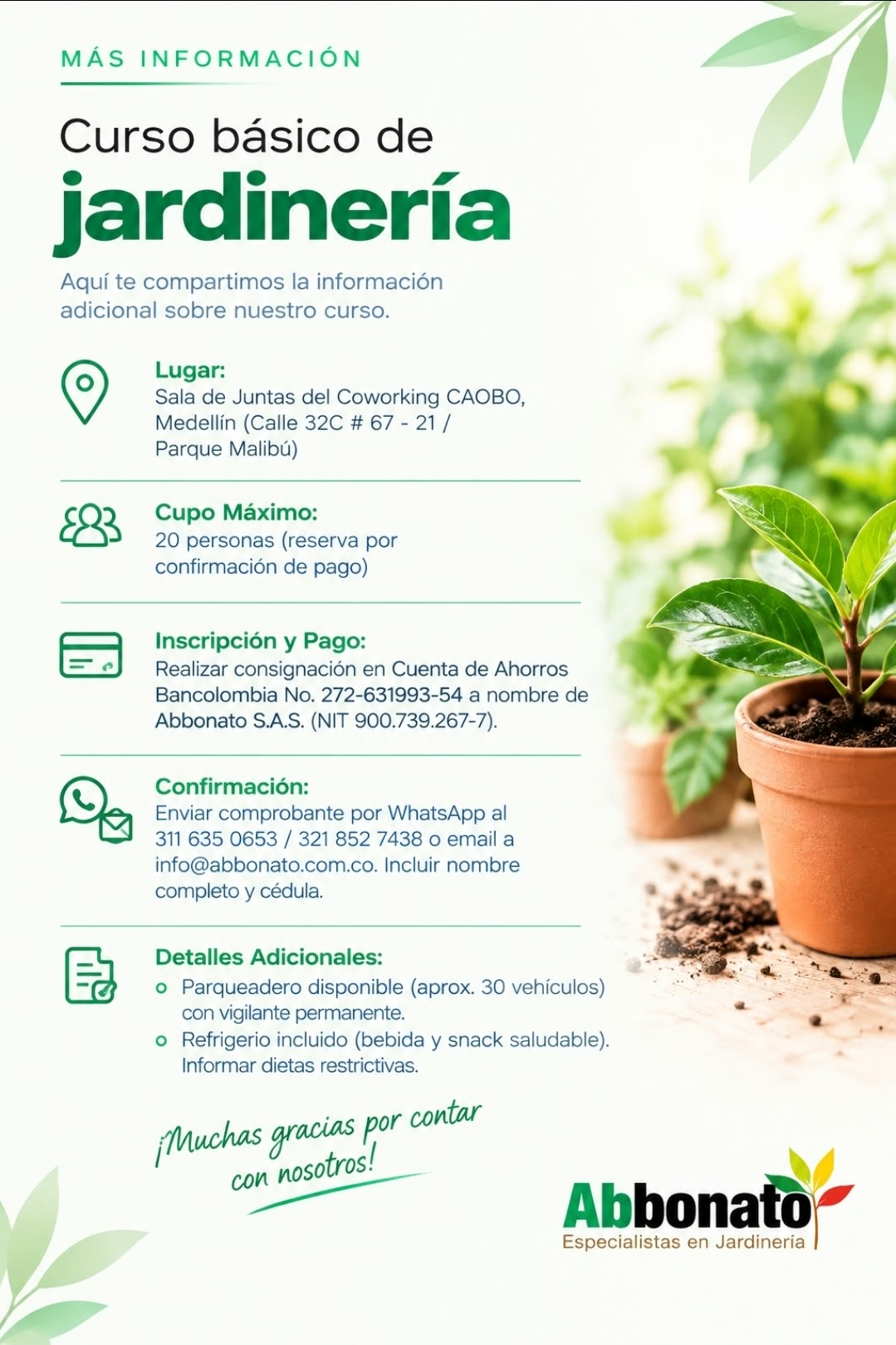 Curso Jardineria