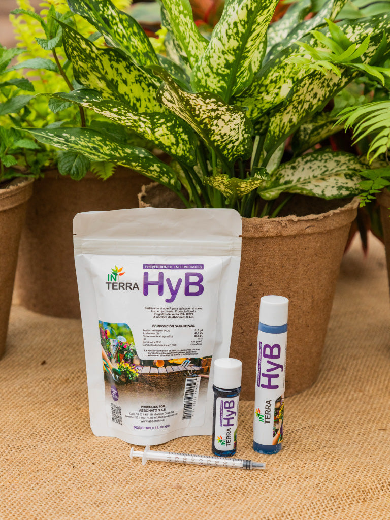 In Terra HyB 10 ml