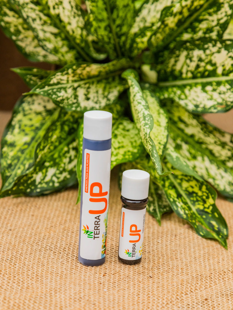 In Terra UP x 25 ml