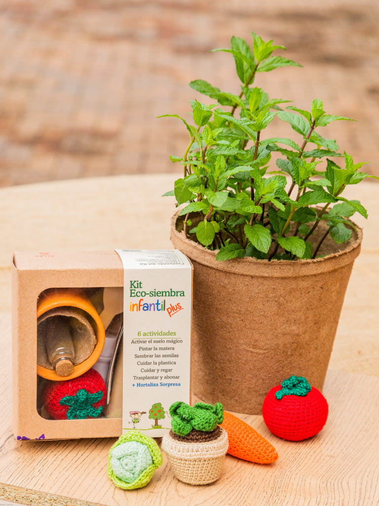 Kit Eco Siembra Infantil Plus