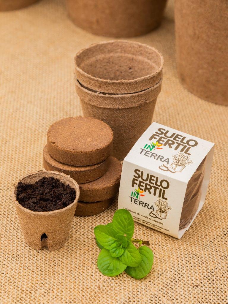 Suelo Fertil In Terra